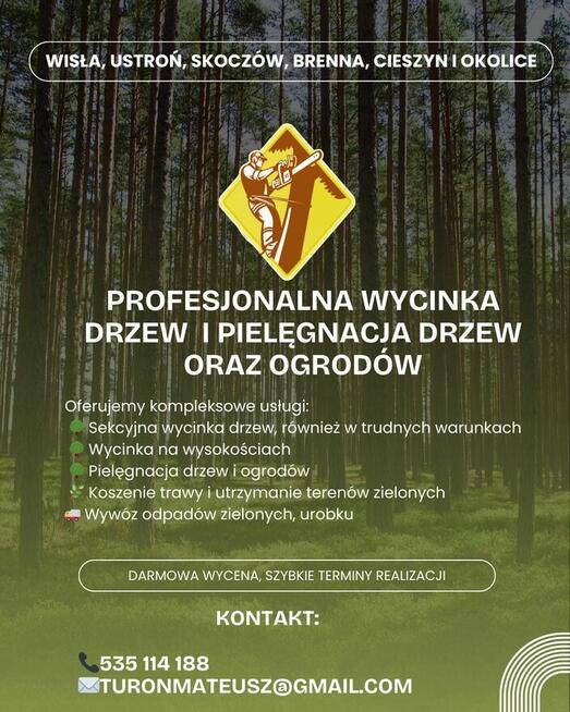 Sekcyjna wycinka drzew