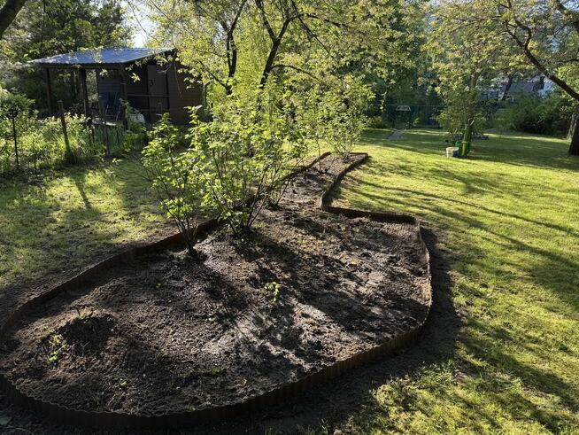 Działka ROD WIlanów/Mokotów - Idylla. Obok TVN Wiertnicza