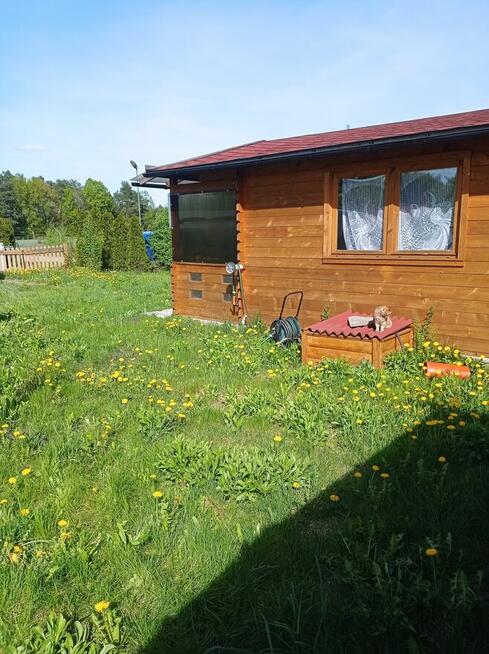 Sprzedam działkę rod w Lesznie wieś Powązki