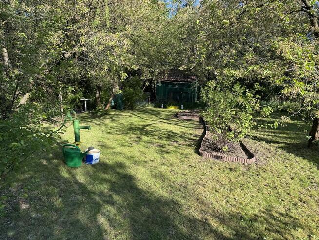 Działka ROD WIlanów/Mokotów - Idylla. Obok TVN Wiertnicza