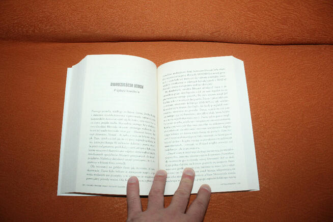 Play Nice. Powstanie, upadek i przyszłość Blizzarda Nowa