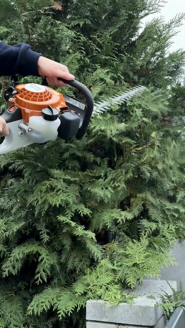 Usługi ogrodnicze Bydgoszcz i okolice