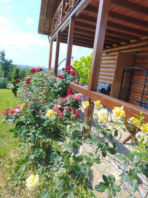 Dom WEWNĘTRZNY SPOKÓJ