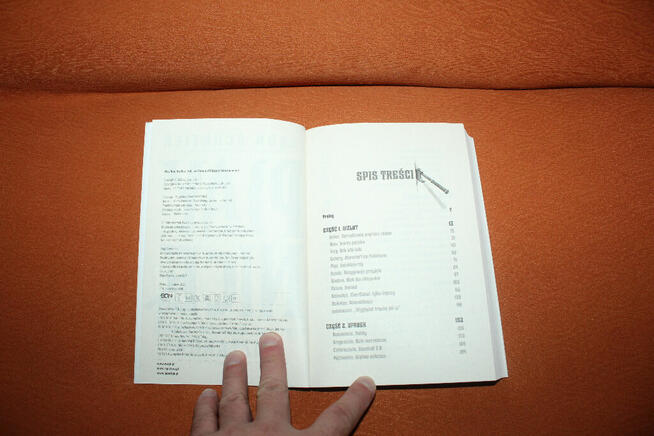 Play Nice. Powstanie, upadek i przyszłość Blizzarda Nowa