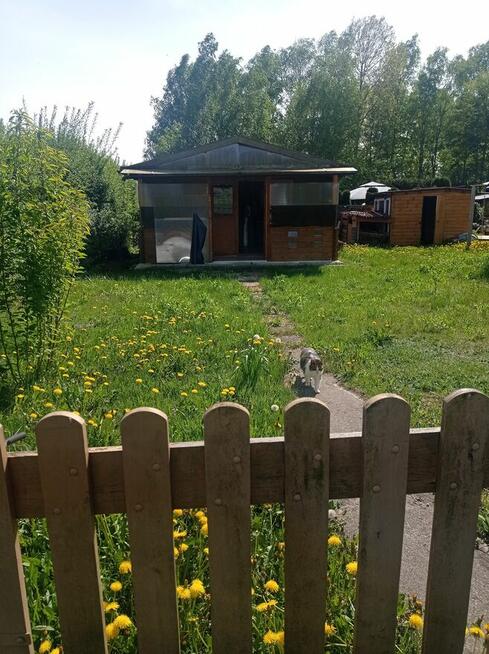 Sprzedam działkę rod w Lesznie wieś Powązki