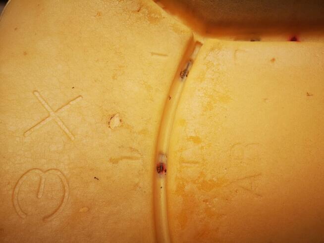 Mitsubishi ASX wypełnienie oparcia fotela przedniego prawego