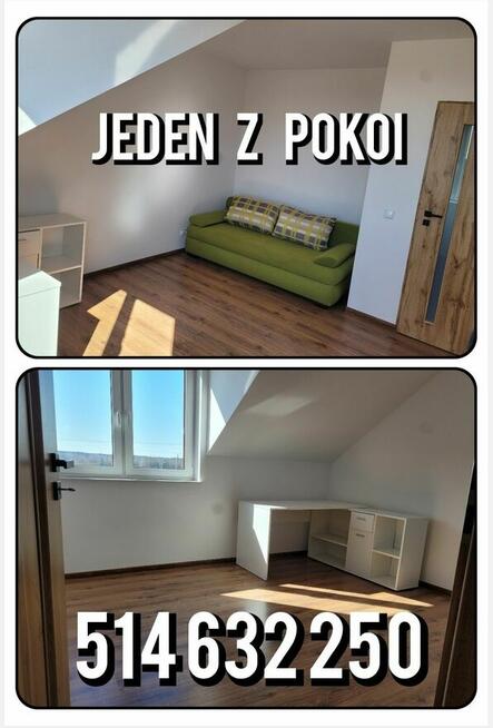 Wynajmę dom w zabudowie bliźniaczej Wołyńce-kolonia