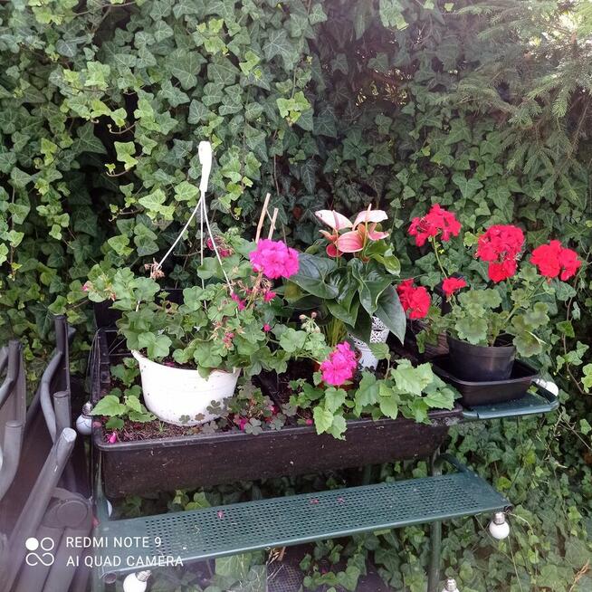 Odstąpię działkę nad Jeziorem Zegrzyńskim 0