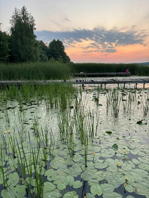 Odstąpię działkę nad Jeziorem Zegrzyńskim