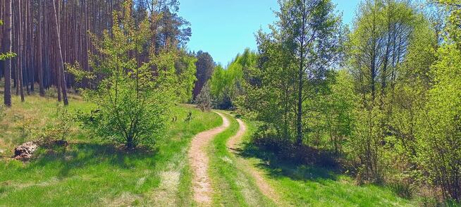 Działka 6005 m², Blisko jeziora i lasu, Inwestycja