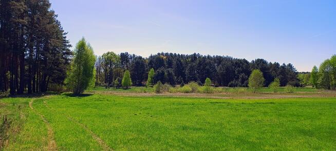 Działka 6005 m², Blisko jeziora i lasu, Inwestycja