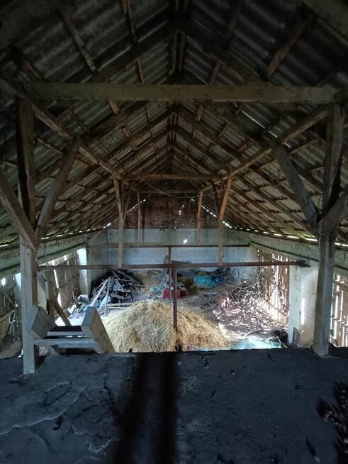 Siedlisko, żyzna gleba, pozwolenie na rozbudowę na 3 budynki