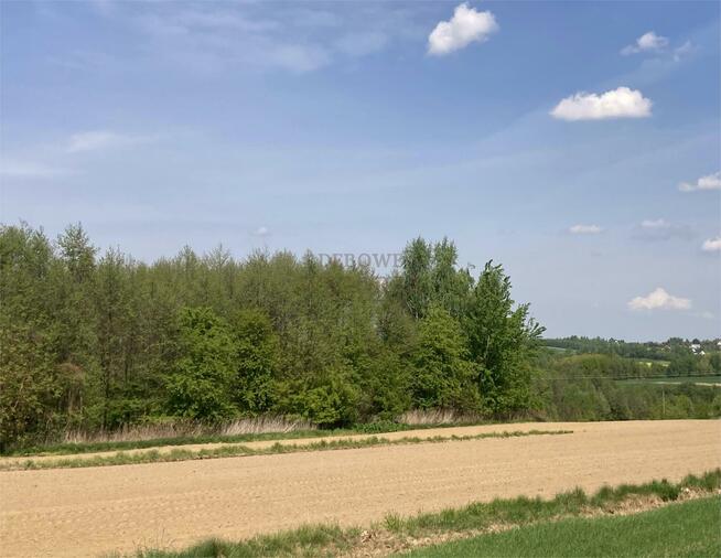 Działka rolno-budowlana Trąbki gm. Biskupice