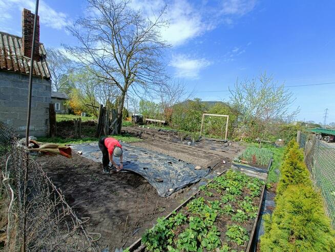 Siedlisko, żyzna gleba, pozwolenie na rozbudowę na 3 budynki