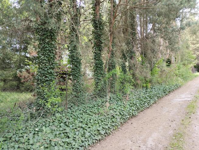 Działka blisko Łodzi