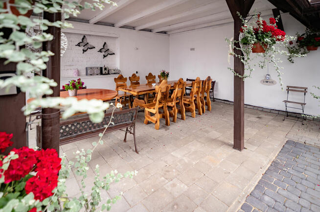 Nolcegi nad morzem Pobierowo