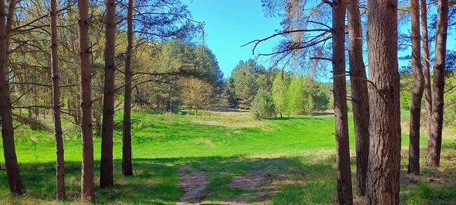 Działka 6005 m², Blisko jeziora i lasu, Inwestycja