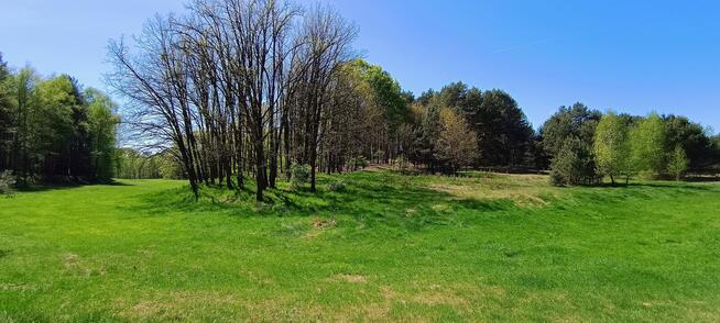 Działka 6005 m², Blisko jeziora i lasu, Inwestycja