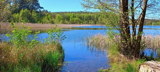 Działka 6005 m², Blisko jeziora i lasu, Inwestycja