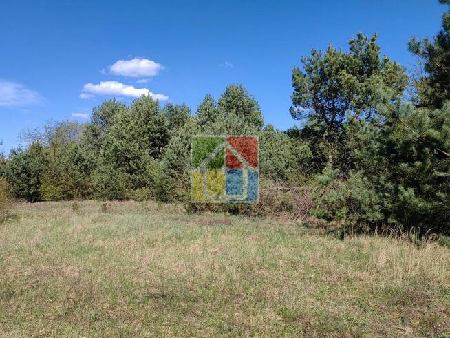 Zadrzewiona działki pod zabudowę 1,2796 ha