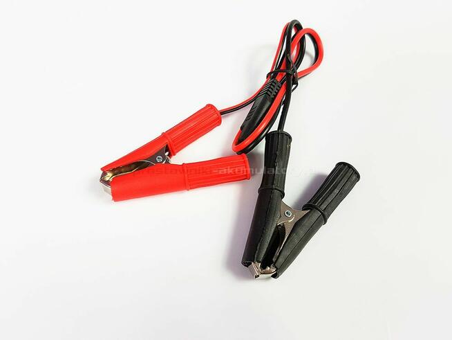 Mocny prostownik automatyczny 12V 24V 12A ,TC-12 Lotus