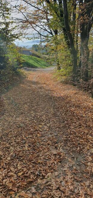 Sprzedam działkę budowlaną widokową