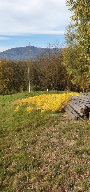 Sprzedam działkę budowlaną widokową
