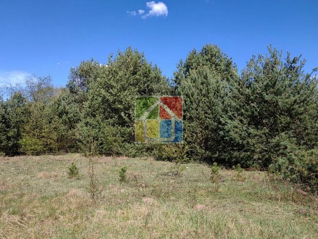 Zadrzewiona działki pod zabudowę 1,2796 ha