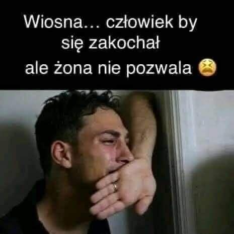 On dla Pani