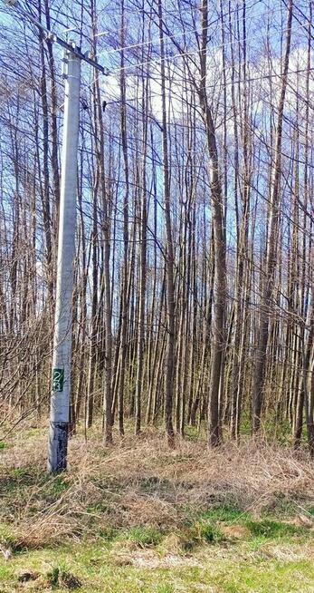 Działka rekreacyjna