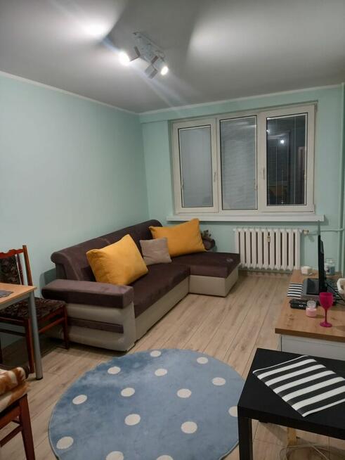 Kawalerka do wynajęcia