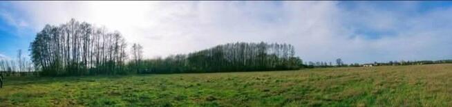 Duża działka siedliskowa blisko term Uniejów