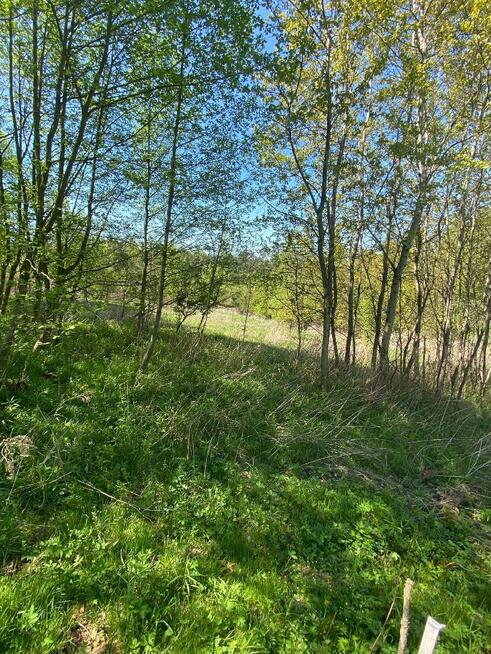 Działka rolno-budowlana Dąbrówka gm. Stryszów