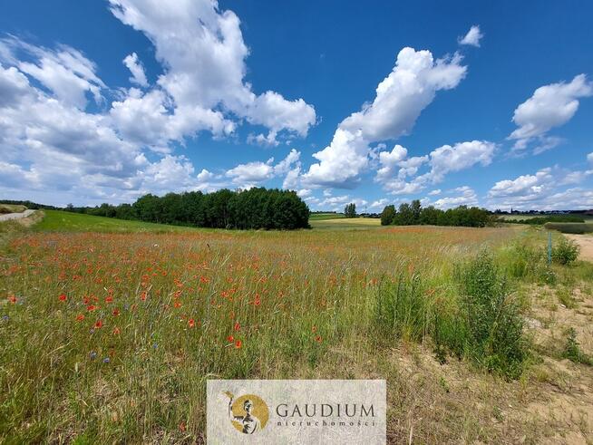 Działka z PnB i mediami | Młynek k. PRZODKOWA