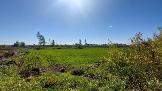 ✅Sprawdź >>> Działka inwestycyjna - Najem-3,1Ha ✅