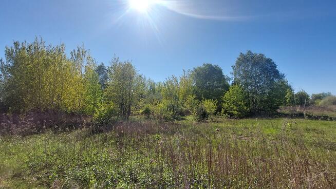 ✅Sprawdź >>> Działka inwestycyjna - Najem-3,1Ha ✅