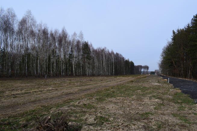 Działki 10a pod zabudowę pod lasem- Widełka