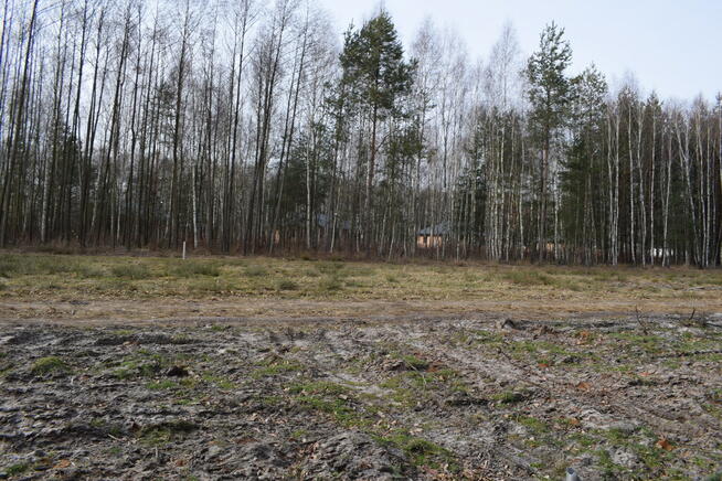 Działki 10a pod zabudowę pod lasem- Widełka