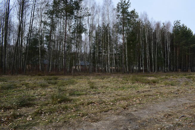 Działki 10a pod zabudowę pod lasem- Widełka