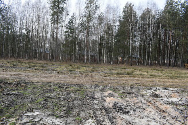 Działki 10a pod zabudowę pod lasem- Widełka