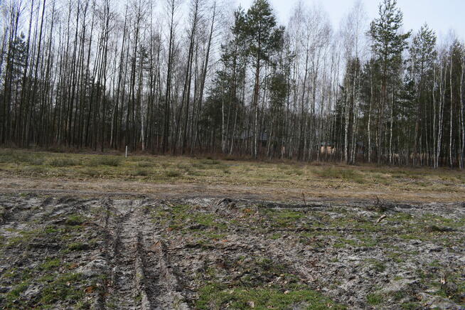 Działki 10a pod zabudowę pod lasem- Widełka