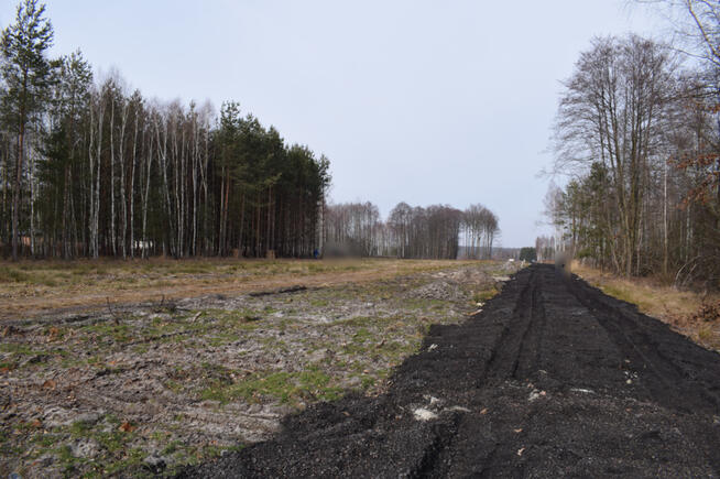 Działki 10a pod zabudowę pod lasem- Widełka