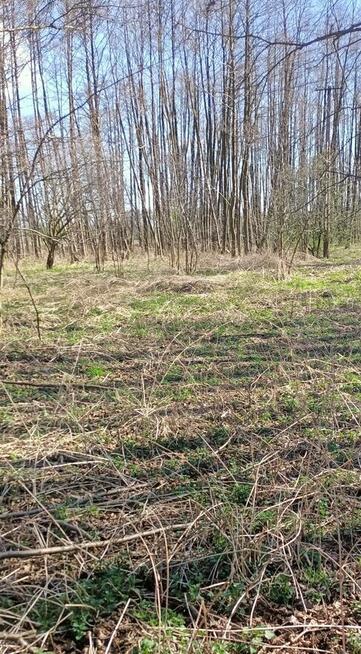 Działka rekreacyjna