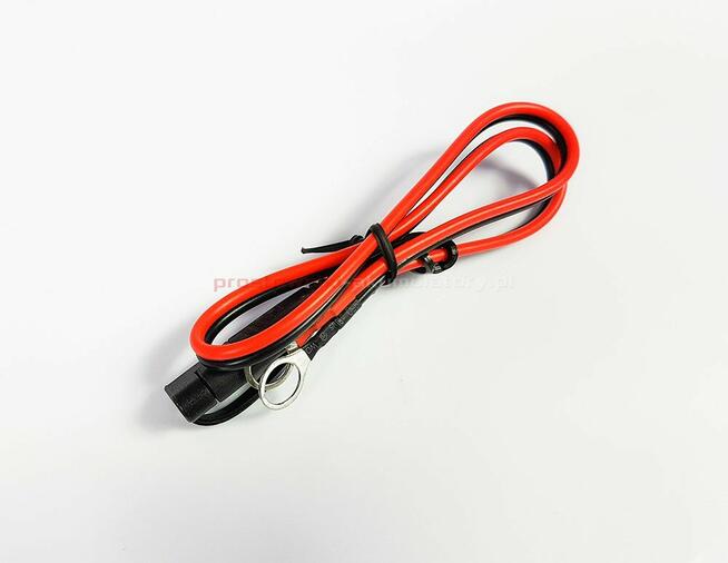 Mocny prostownik automatyczny 12V 24V 12A ,TC-12 Lotus