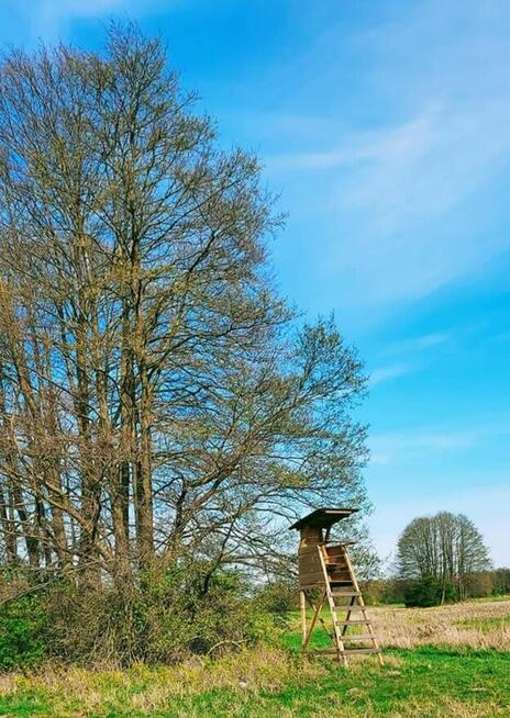 Duża działka siedliskowa blisko term Uniejów