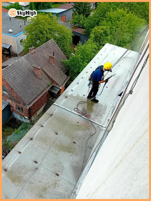 Siatki i kolce przeciw ptakom