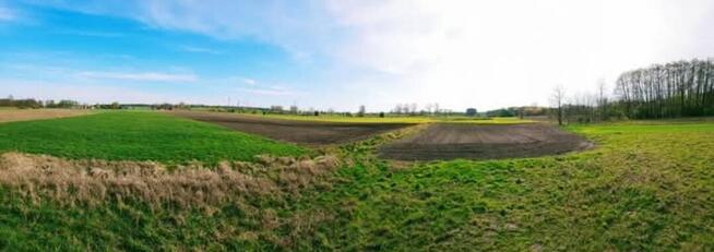 Duża działka siedliskowa blisko term Uniejów