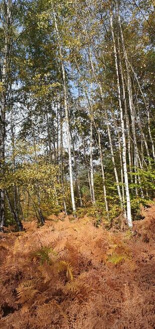 Sprzedam działkę budowlaną widokową