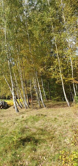 Sprzedam działkę budowlaną widokową