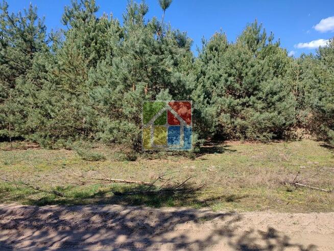 Zadrzewiona działki pod zabudowę 1,2796 ha